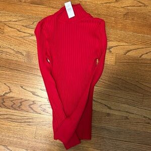 NWT Loft Turtleneck